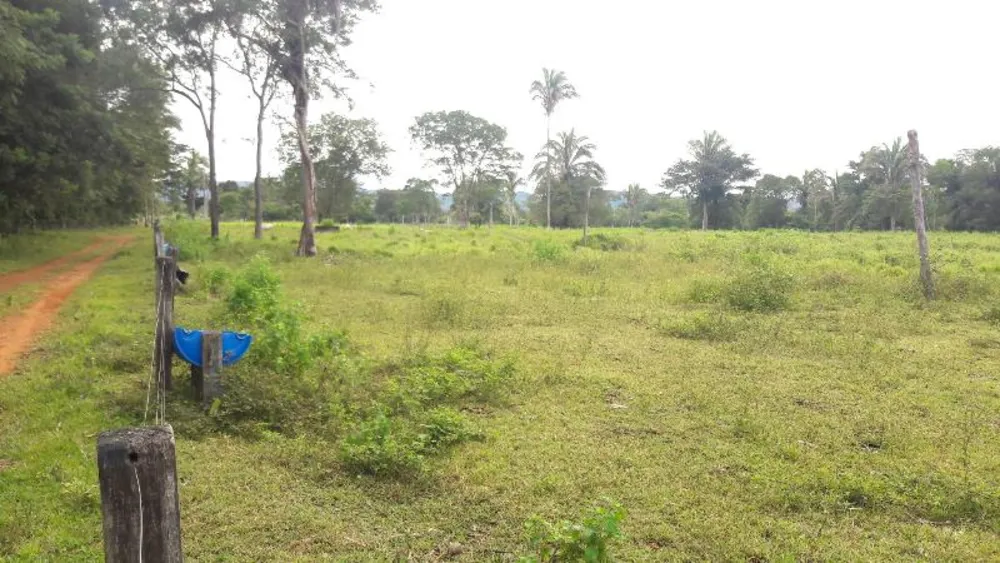 Fazenda - Foto 14