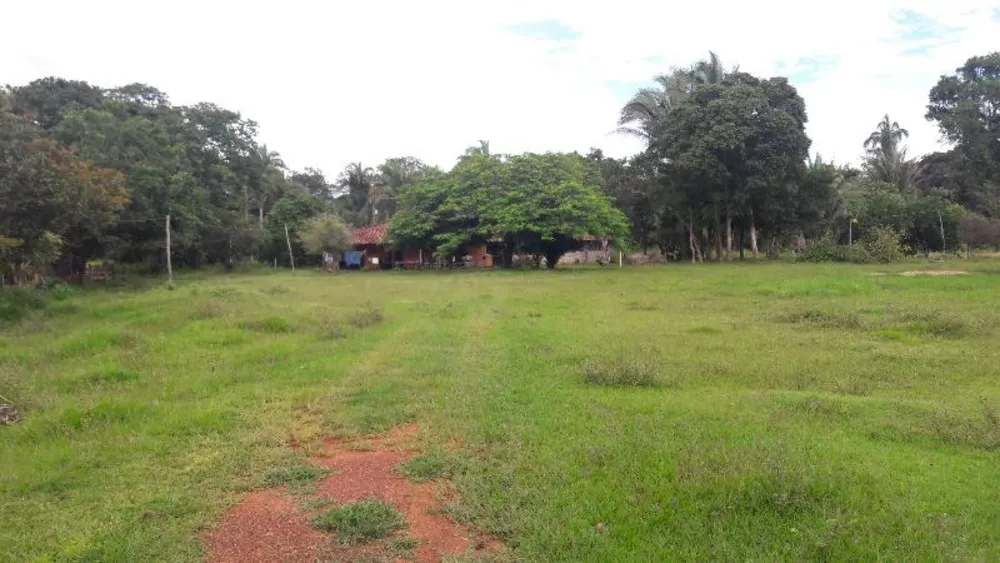 Fazenda - Foto 15