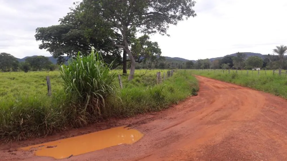 Fazenda - Foto 11