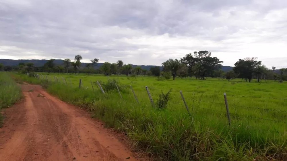 Fazenda à venda - Foto 6