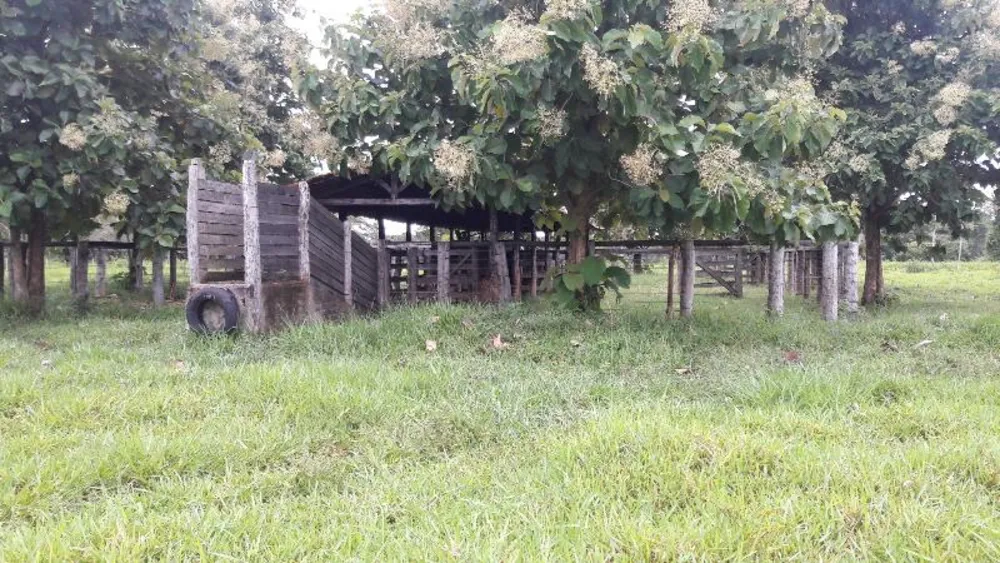 Fazenda - Foto 9