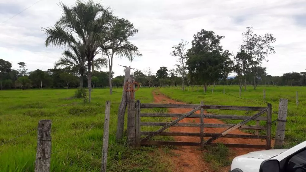 Fazenda à venda - Foto 3