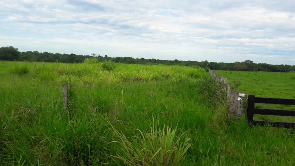 Fazenda - Foto 12