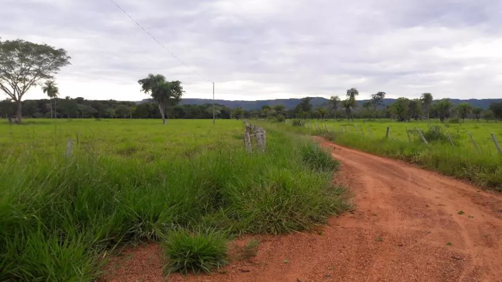 Fazenda à venda - Foto 4