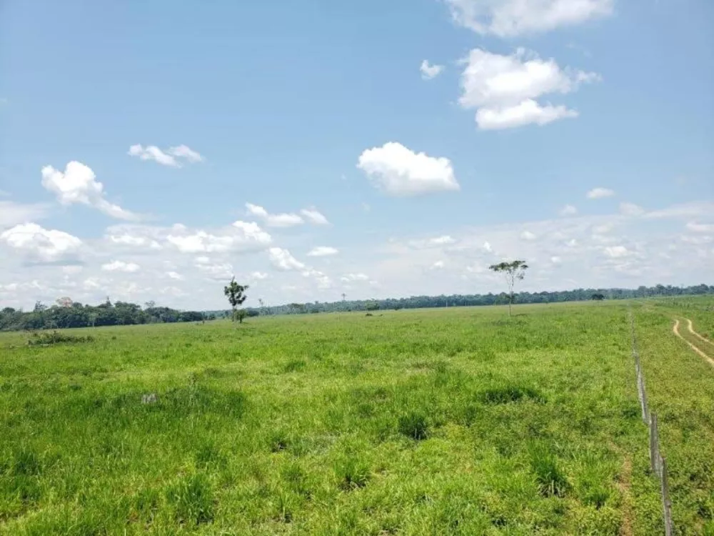 Fazenda à venda - Foto 4