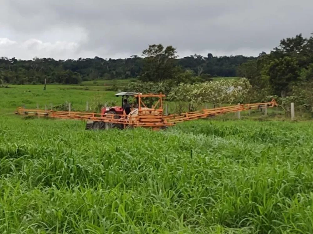 Fazenda à venda - Foto 6