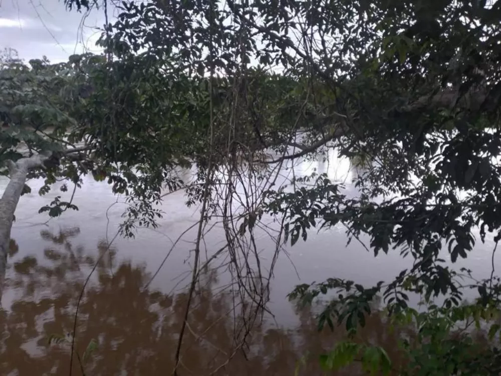 Fazenda à venda - Foto 4