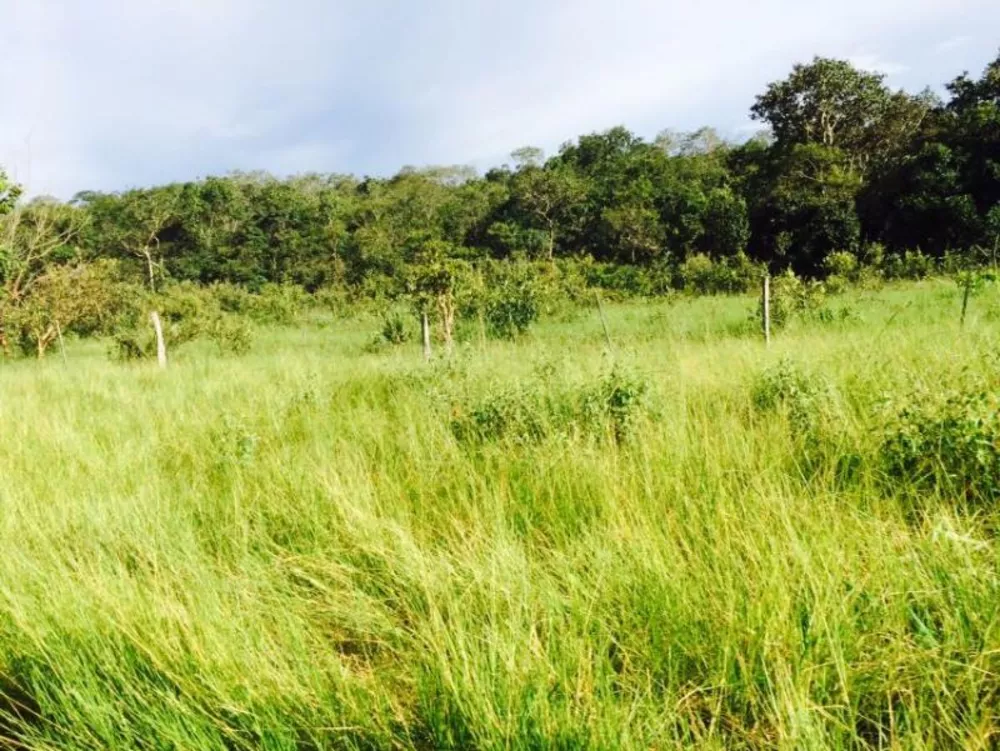 Fazenda à venda - Foto 3