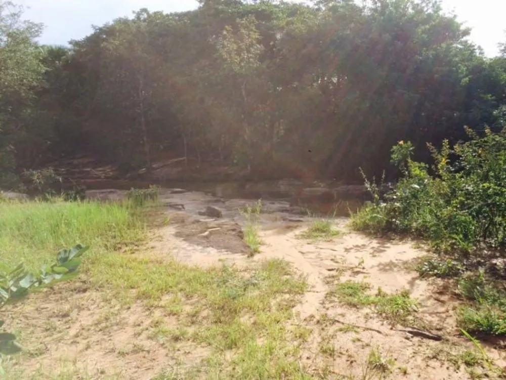 Fazenda à venda - Foto 4