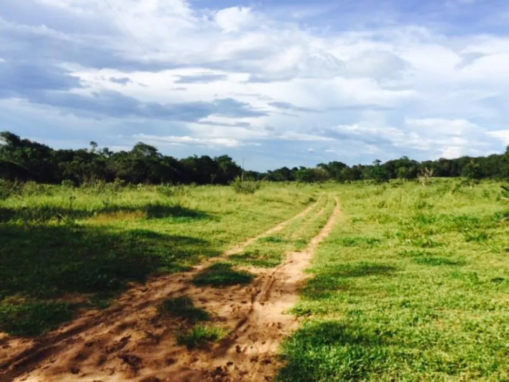 Fazenda à venda - Foto 1