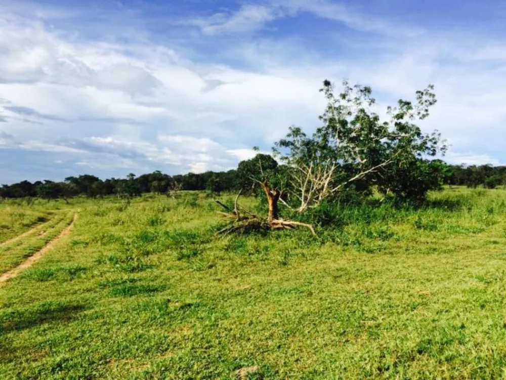 Fazenda à venda - Foto 2