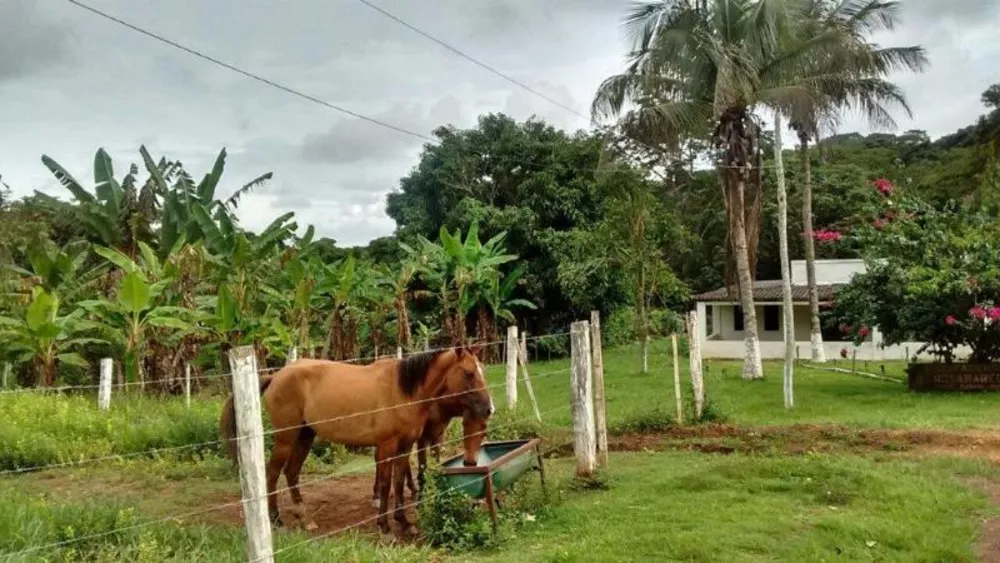 Fazenda à venda - Foto 7