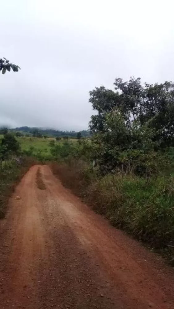 Fazenda à venda - Foto 2