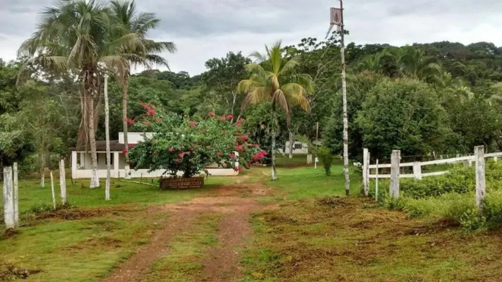 Fazenda à venda - Foto 1