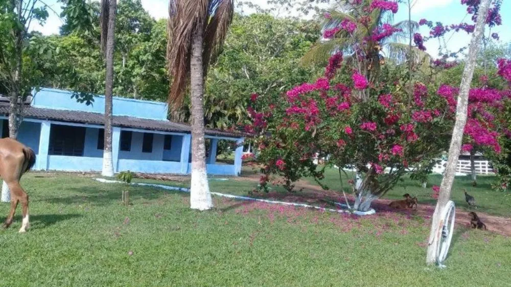 Sítio - Foto 13