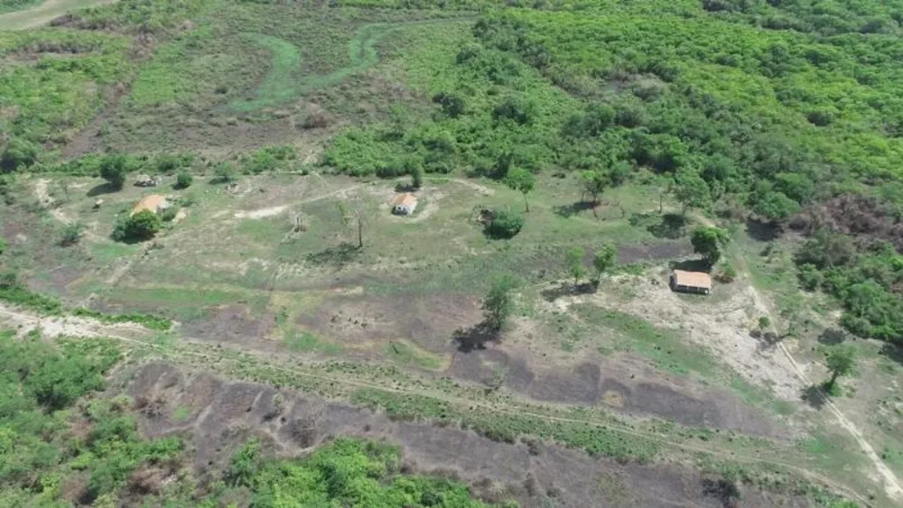 Fazenda - Foto 7