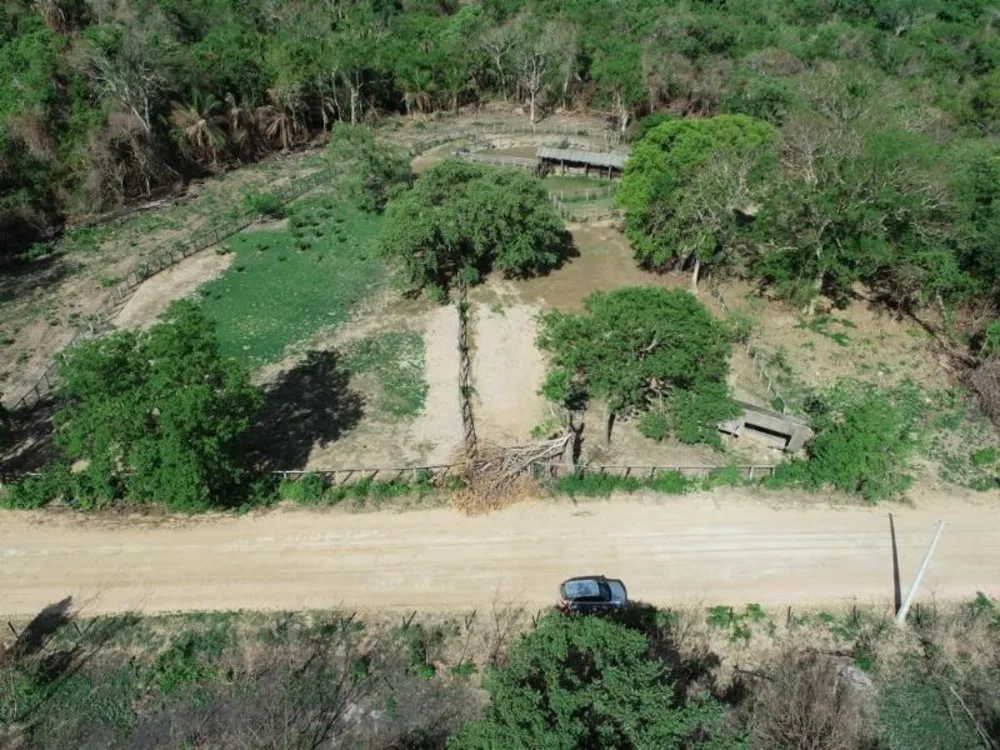 Fazenda - Foto 5