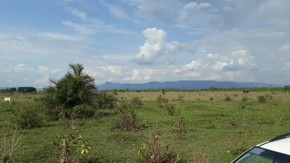 Fazenda - Foto 15