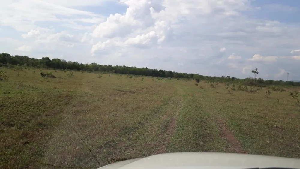 Fazenda - Foto 14