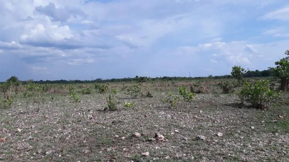 Fazenda - Foto 18
