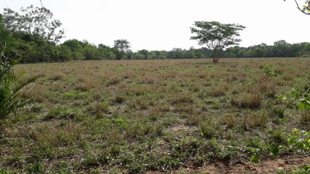 Fazenda - Foto 16