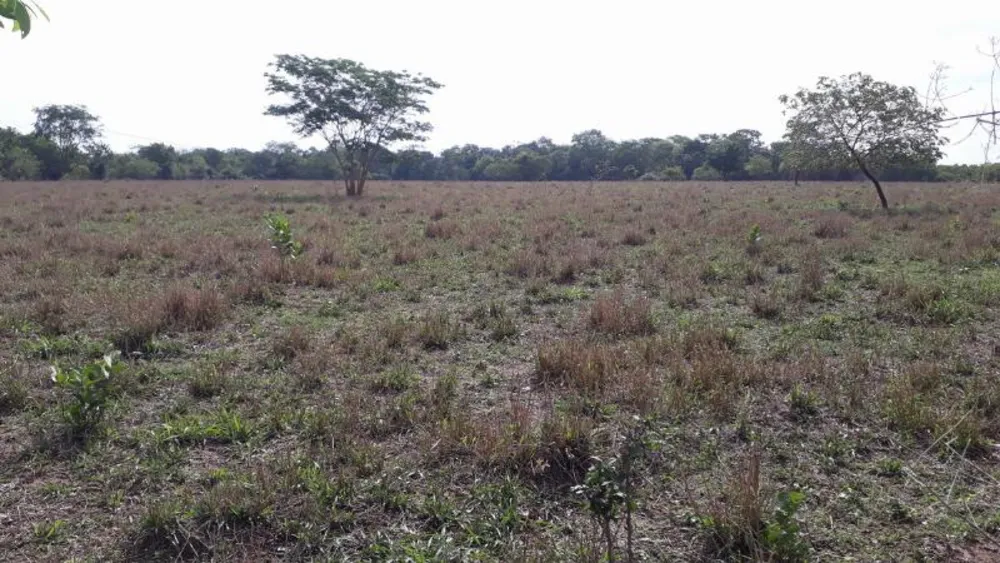 Fazenda - Foto 19
