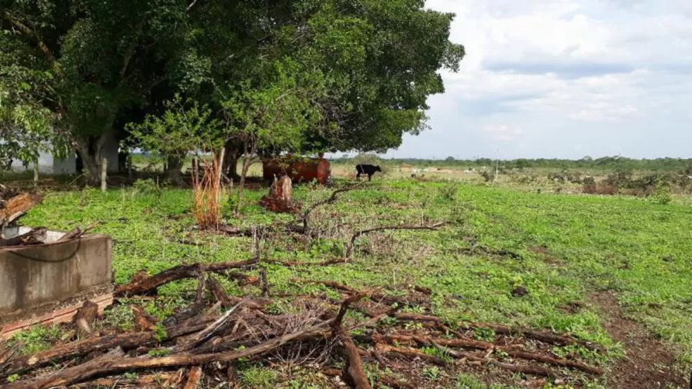 Fazenda à venda - Foto 12