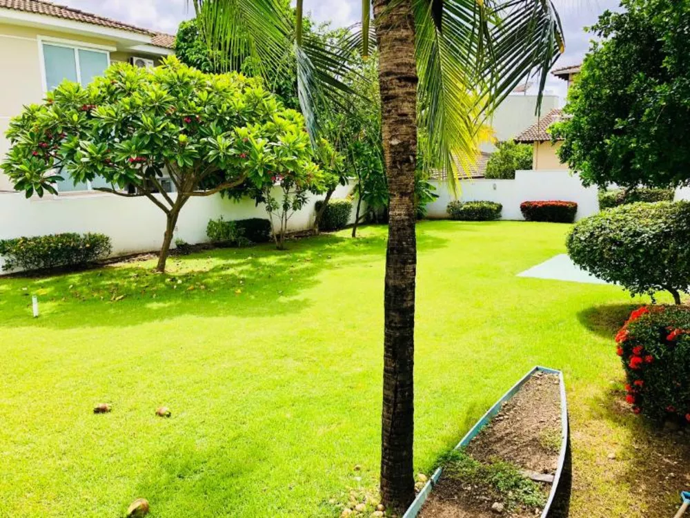 Casa, 4 quartos, 400 m² - Foto 8