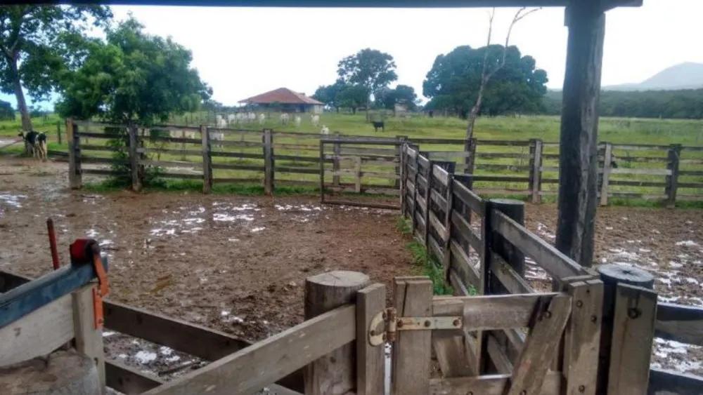 Fazenda - Foto 9