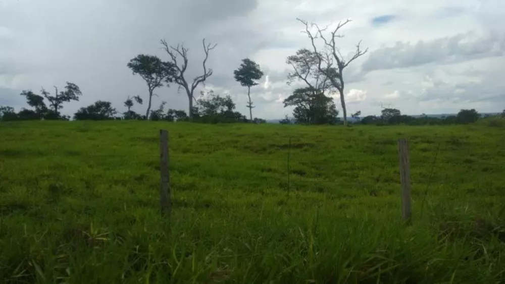 Fazenda à venda - Foto 7