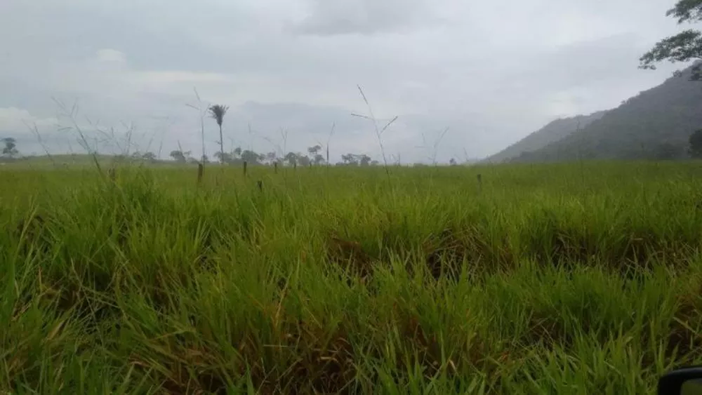 Fazenda à venda - Foto 8