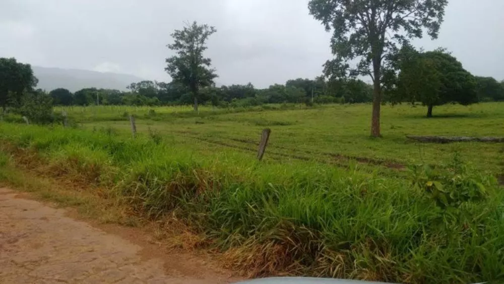 Fazenda à venda - Foto 5