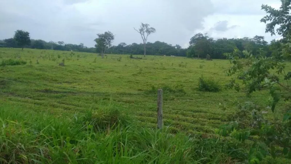 Fazenda à venda - Foto 6