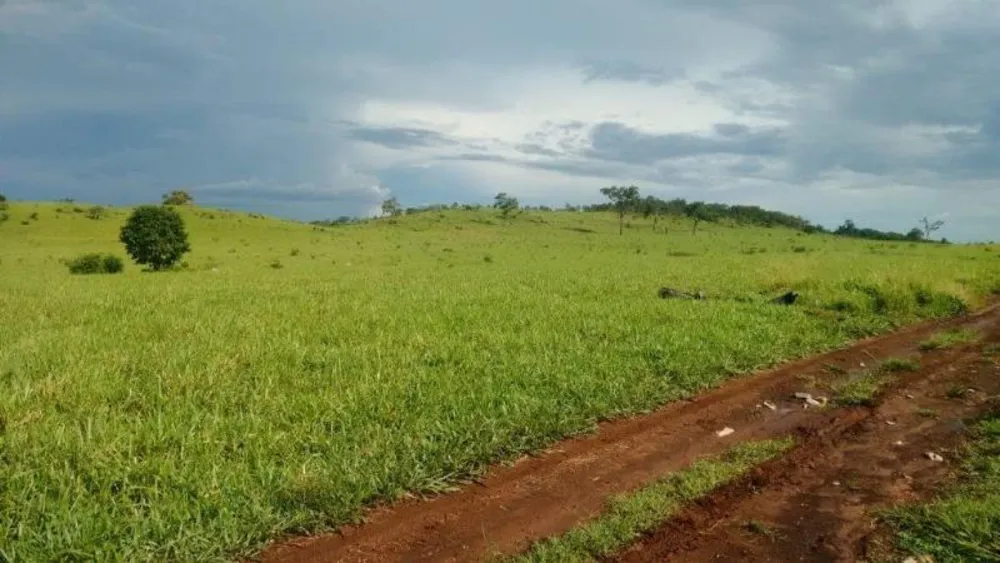 Fazenda - Foto 11