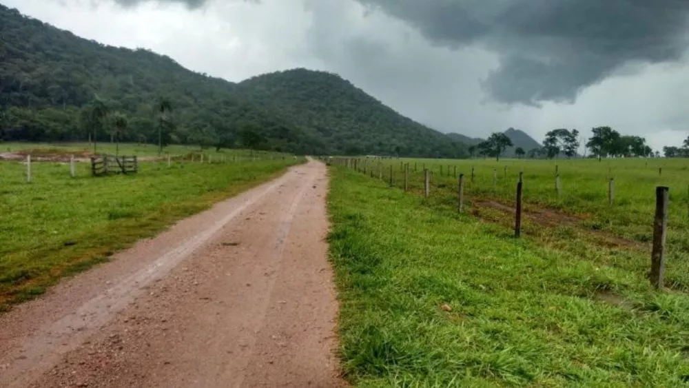 Fazenda à venda - Foto 4