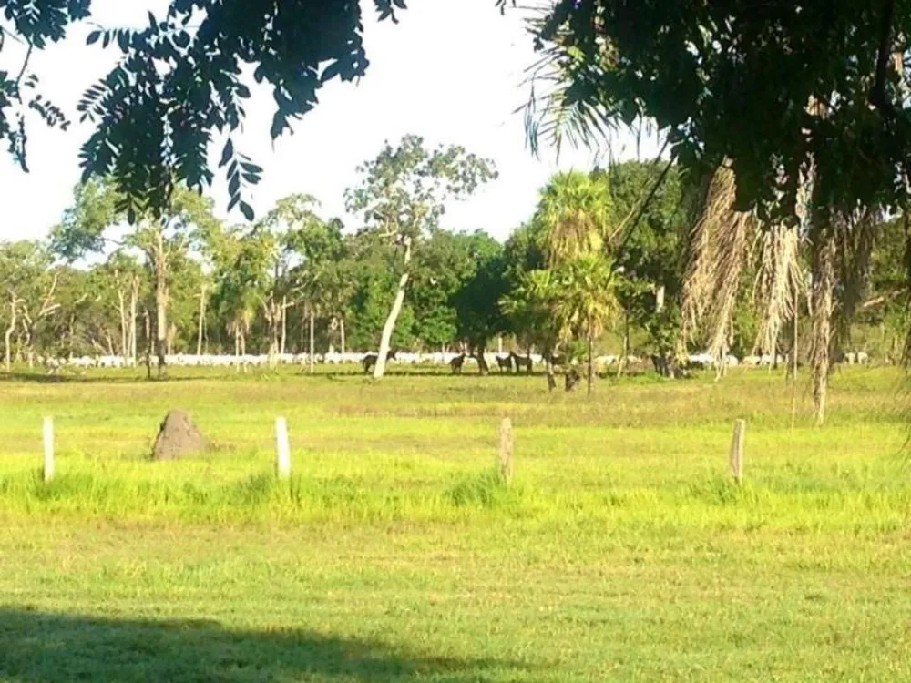 Fazenda - Foto 12