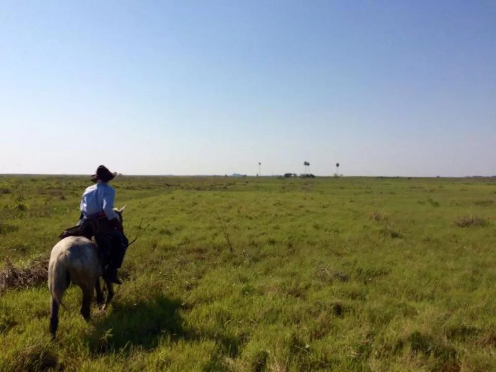 Fazenda à venda - Foto 3