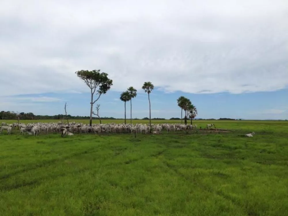 Fazenda à venda - Foto 1