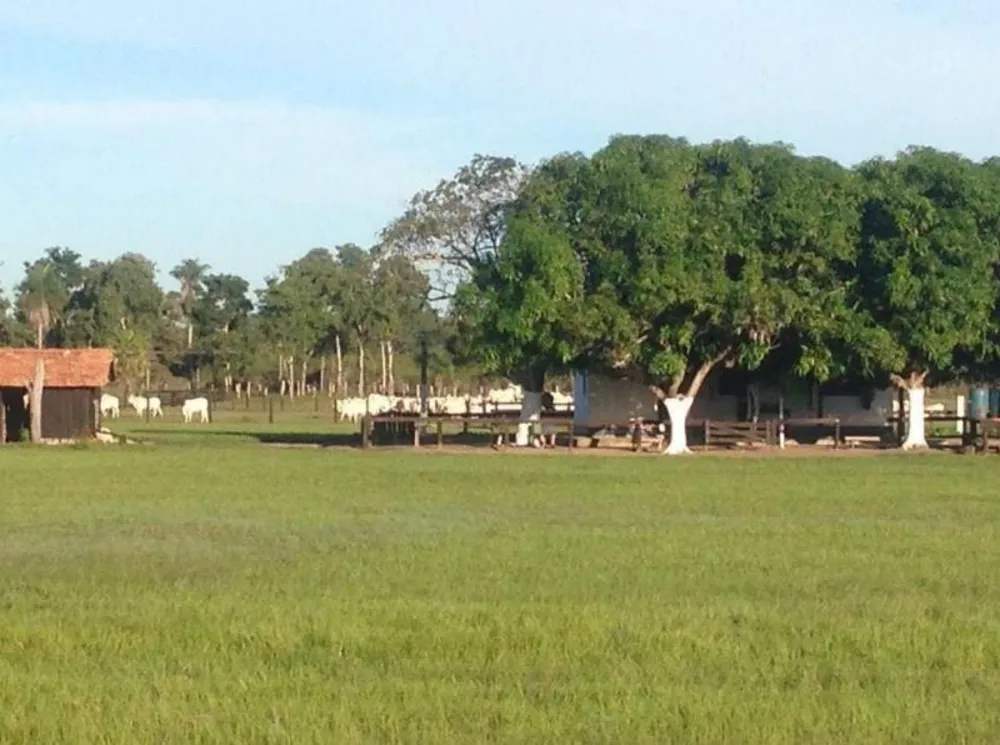 Fazenda - Foto 9
