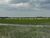 Fazenda-Sítio-Chácara - Foto 5