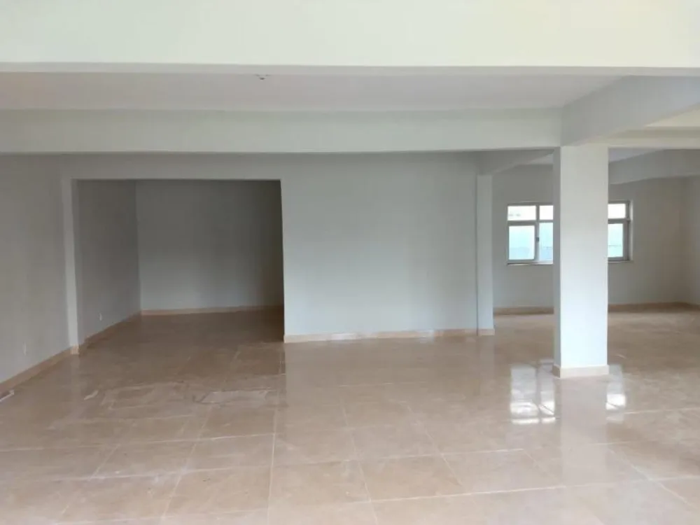 Casa, 4 quartos, 550 m² - Foto 14