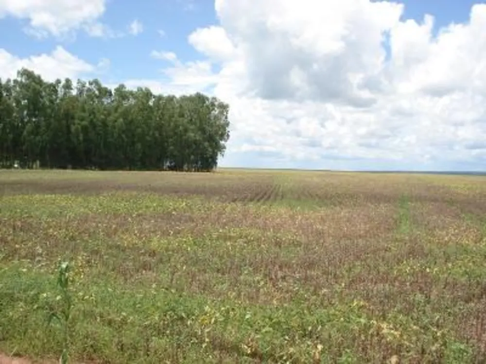 Fazenda - Foto 6