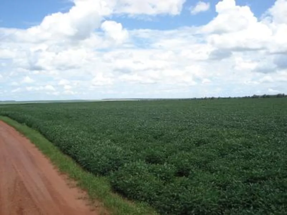 Fazenda à venda - Foto 3