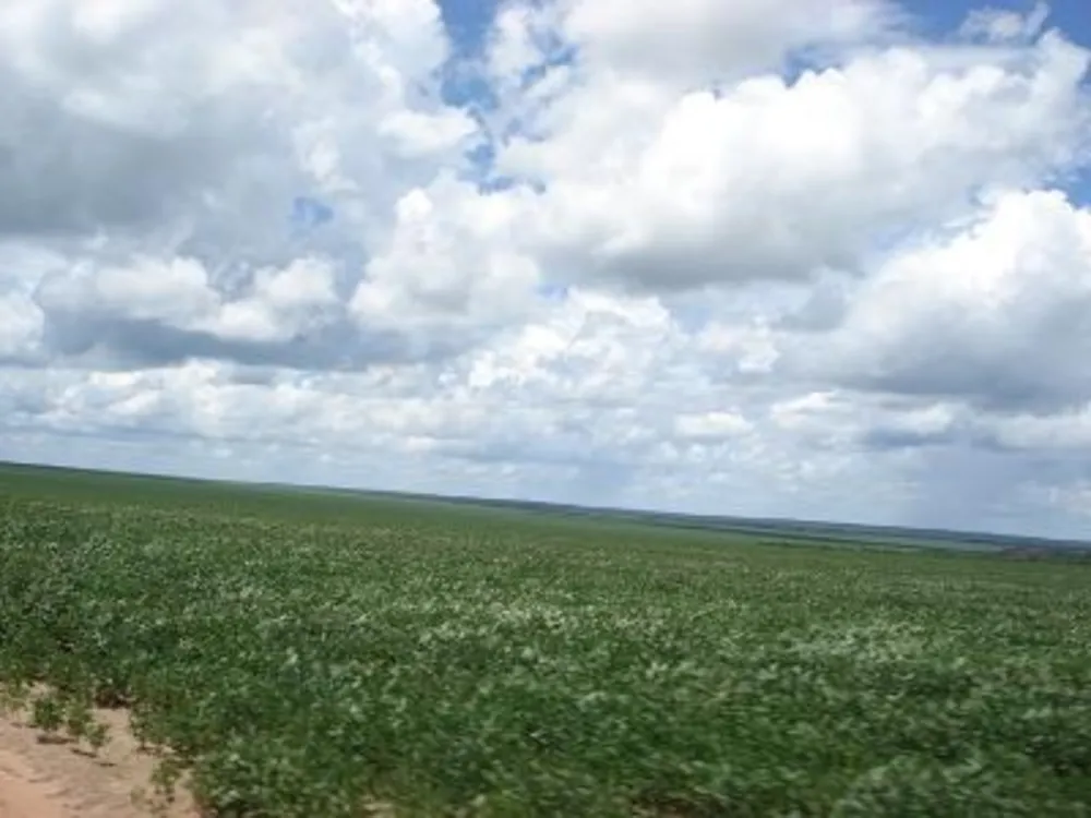 Fazenda - Foto 7