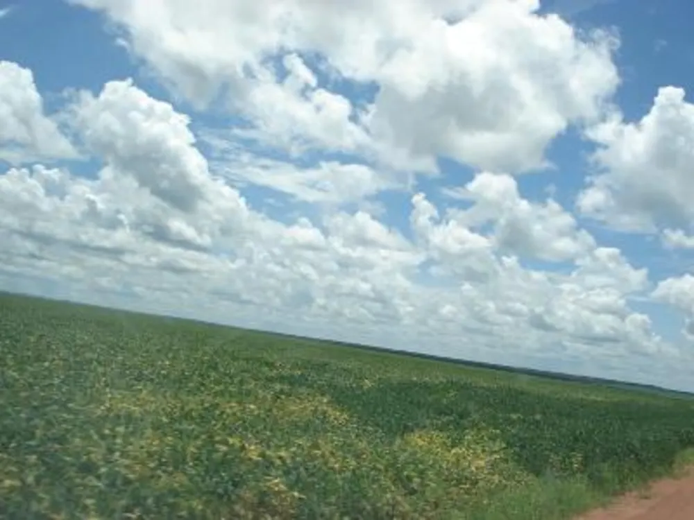 Fazenda - Foto 5