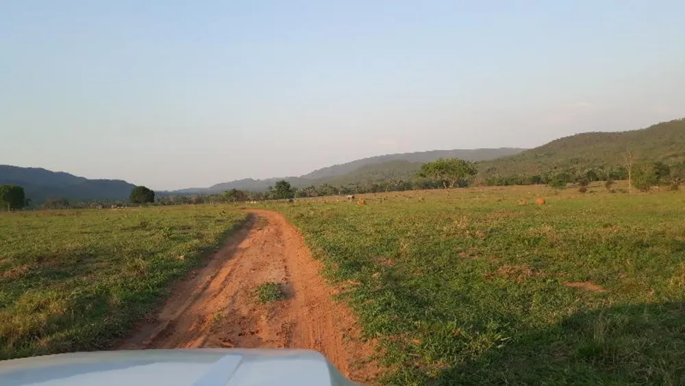Fazenda - Foto 5
