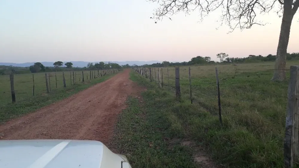 Fazenda - Foto 7