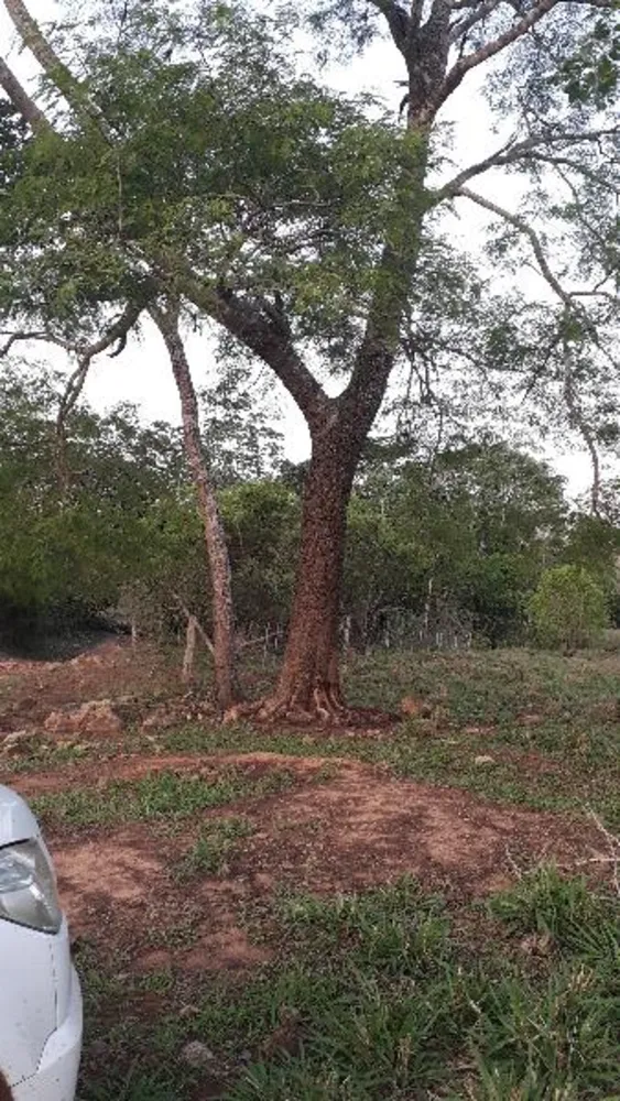 Fazenda - Foto 6