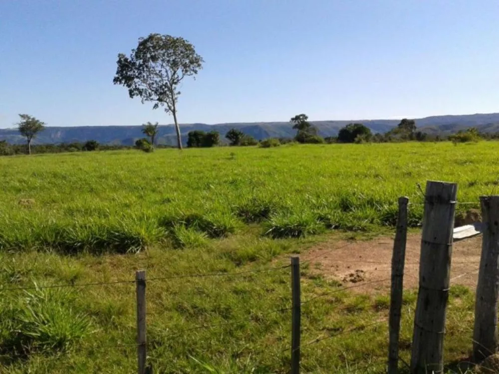 Fazenda à venda - Foto 1