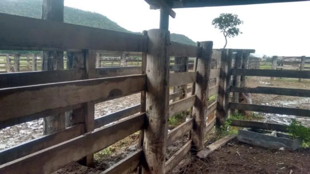Fazenda - Foto 5